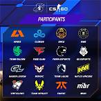 csgo bet on teams